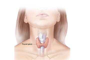 The Link between Thyroid Symptoms and Overall Health