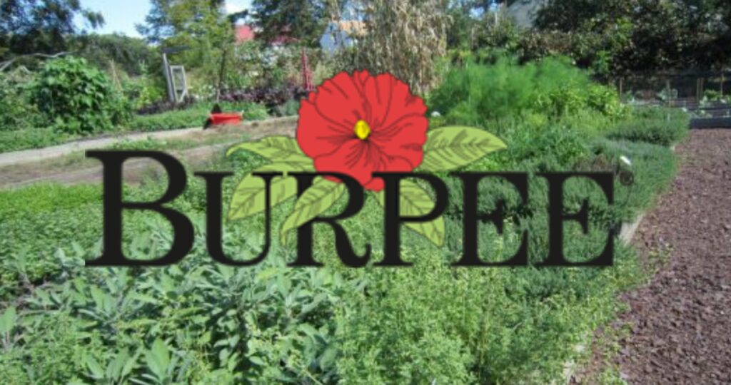Burpee Seeds: A Legacy of Quality and Innovation